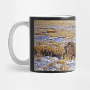 Mule Deer - Bryce Canyon USA Mug